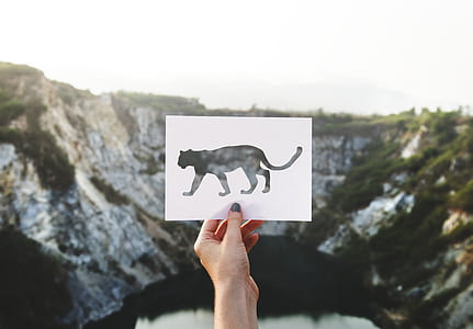 landscape, nature, person, vacation thumbnail