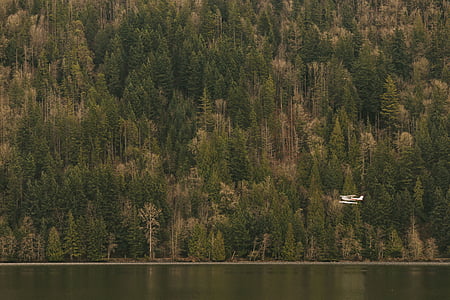 monoplane flies on sky beside body of water thumbnail
