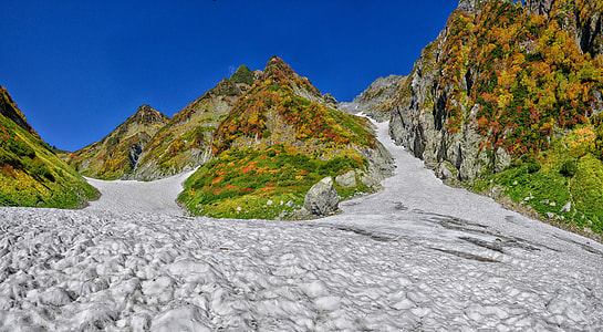 Mountainous Landscape, Autumnal Leaves thumbnail