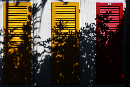 shadow of plants displaying in front of three louvered wooden doors thumbnail