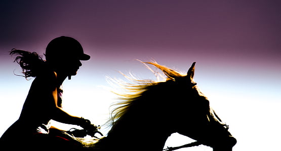 silhouette photo of equestrian riding on horse thumbnail