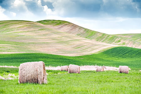 Several Hay Rolls on Grass Field Within Mountain Range thumbnail