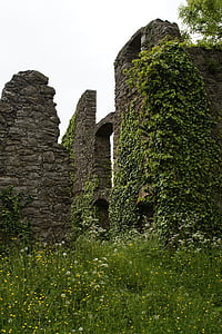 gray ruins covered in vines thumbnail