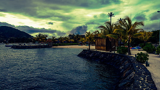 Scenic View of the Beach thumbnail