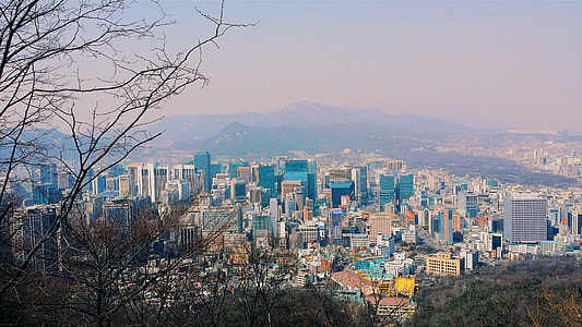 bird's eye view photography of cityscape thumbnail