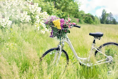 flower on bicycle near on grasses thumbnail