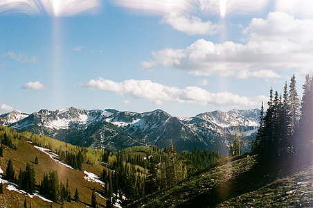 green leaf tall trees and snow covered mountain under white clouds at daytime thumbnail