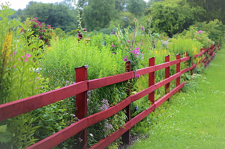 green grass lawn with wooden fence thumbnail