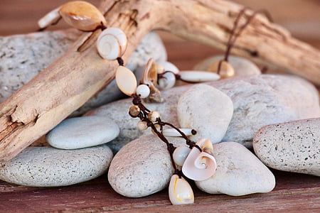 seashell ornament on gray stones thumbnail