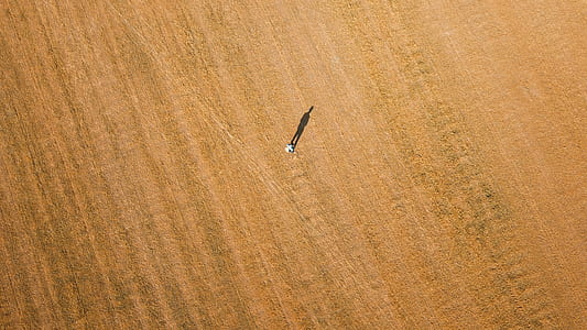 aerial photography of person standing on brown field thumbnail