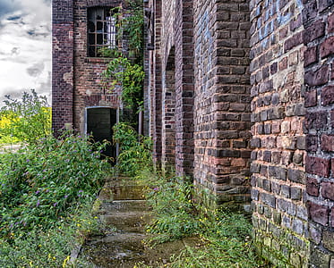 green leafed plants near brown brick wall thumbnail