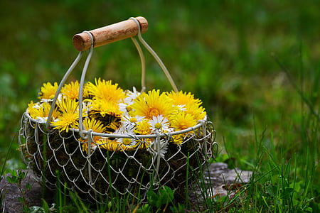 yellow and white flowers in basket thumbnail