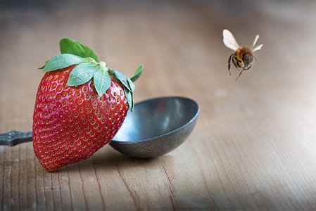 red strawberry near Honeybee thumbnail