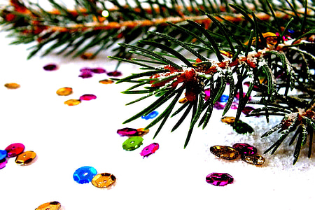 multicolored sequins beside pine boughs thumbnail