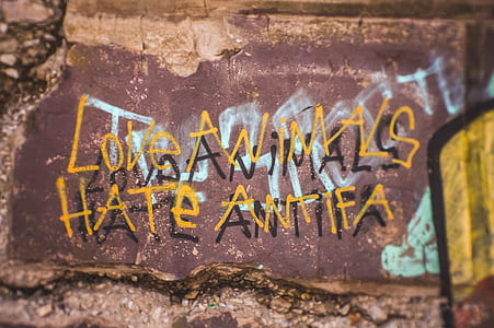 love animals hate ant ifa graffiti on brown painted wall thumbnail