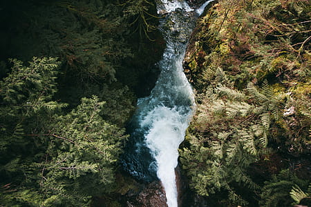 A waterfall from hills Surrounded by plants thumbnail