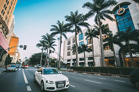 White Audi driving down the road with palm trees thumbnail