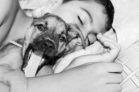 sleeping, dog, kid thumbnail