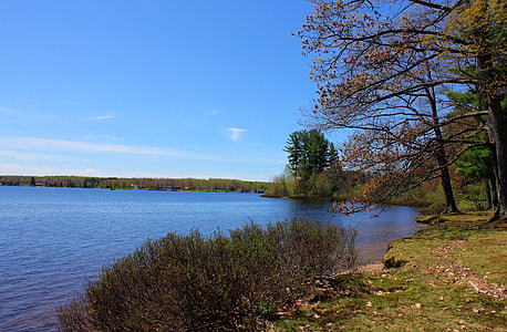 Shoreline of the Lake at Twin Lakes State Park, Michigan thumbnail