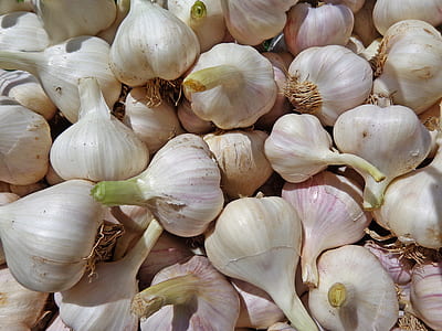 bunch of garlic bulb thumbnail