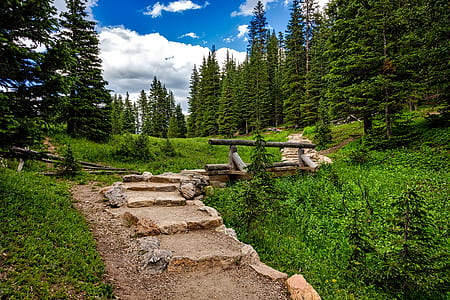 brown stone stair beside pine trees thumbnail