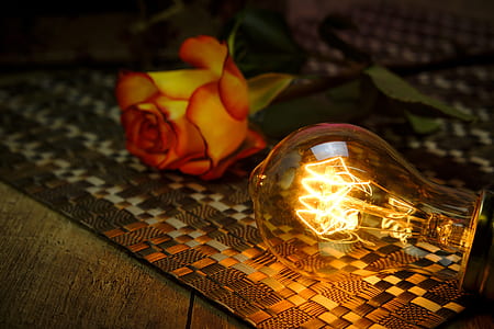turned-on bulb beside artificial flower thumbnail