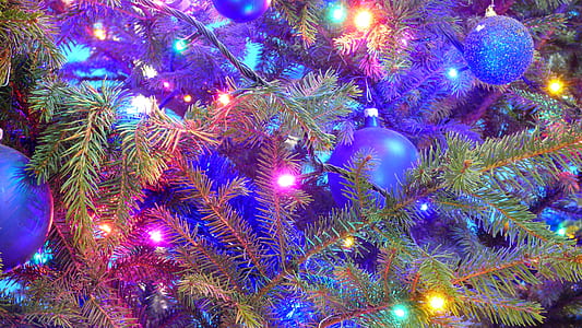 closeup photo of blue and purple baubles and Christmas tree thumbnail