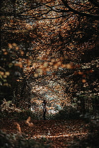 girl standing in the middle of the forest at daytime thumbnail