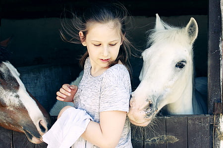girl between two horses thumbnail