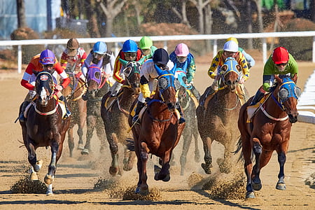 men riding horses at daytime thumbnail