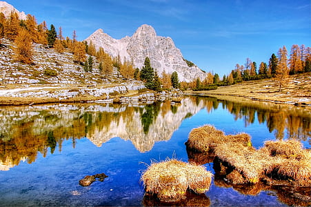 green leafed trees near lake in landscape photography thumbnail