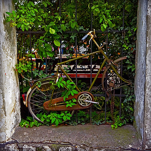 green commuter bike near black metal fence thumbnail