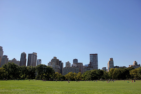 green lawn during daytime thumbnail