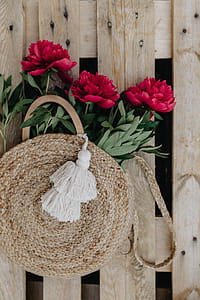 Blooming red peonies thumbnail