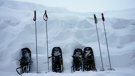 four black snowmobiles at daytime thumbnail