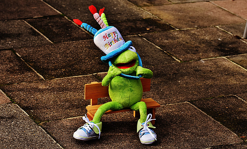 Kermitt the Frog plush toy on pavement thumbnail