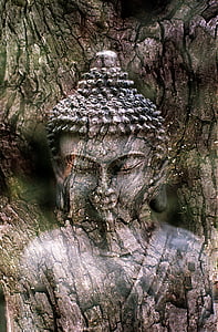 photo of Gautama Buddha tree trunk thumbnail