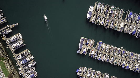 aerial photography of white-and-blue ships in dock at daytime thumbnail