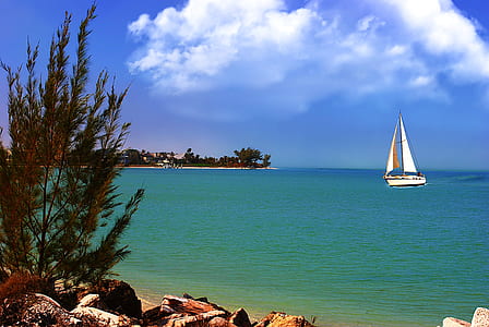 white canoe on body of water thumbnail