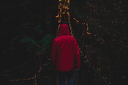 person wearing red hooded jacket walking between trees with lights thumbnail