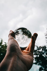 Photo of Person Holding Clear Glass Ball thumbnail