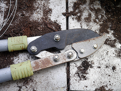 closeup photo of bolt cutter thumbnail