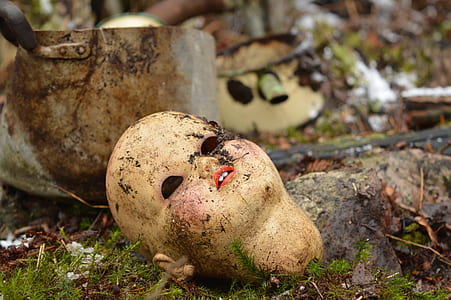 mannequin head on green grass thumbnail