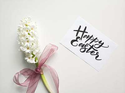 White Flowers thumbnail