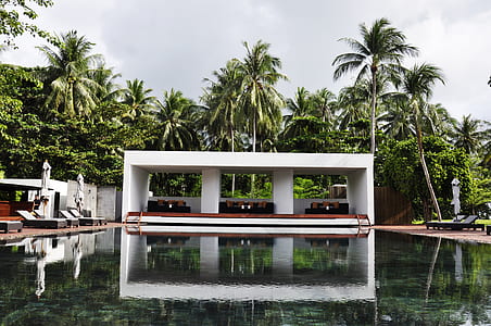 white and brown shed infront of pool taken at daytime thumbnail