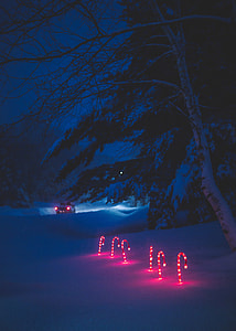 Lighted Candy Canes in the snow Christmas Decorations thumbnail