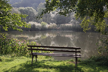 bench facing the lake in the middle of green trees thumbnail