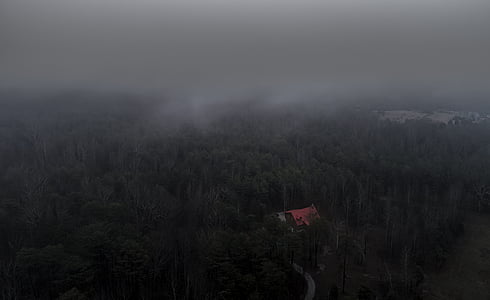 red roof house surrounded by forest thumbnail