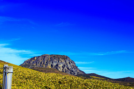 rocky mountain beside gras thumbnail