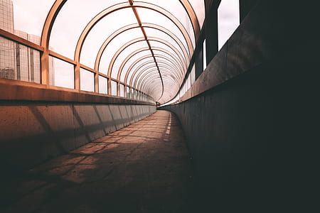 light, city, building, bridge thumbnail